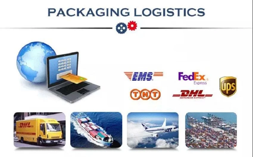 Delivery & Shipping & Service Delivery & Shipping & Service